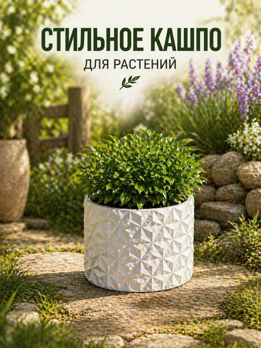 Դեկորատիվ ծաղկաման՝ գնել առցանց Breeze-ում